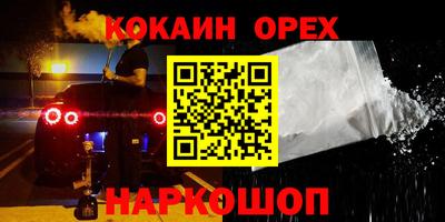 стаф Дубна