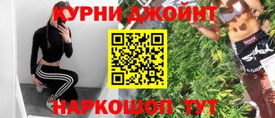 стаф Дубна