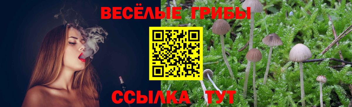 Галлюциногенные грибы Psilocybe  сколько стоит  Новоалтайск  Вход с VPN 